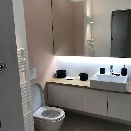 Sunny With Cute Dragon In The Center+parking Apartment Laibach